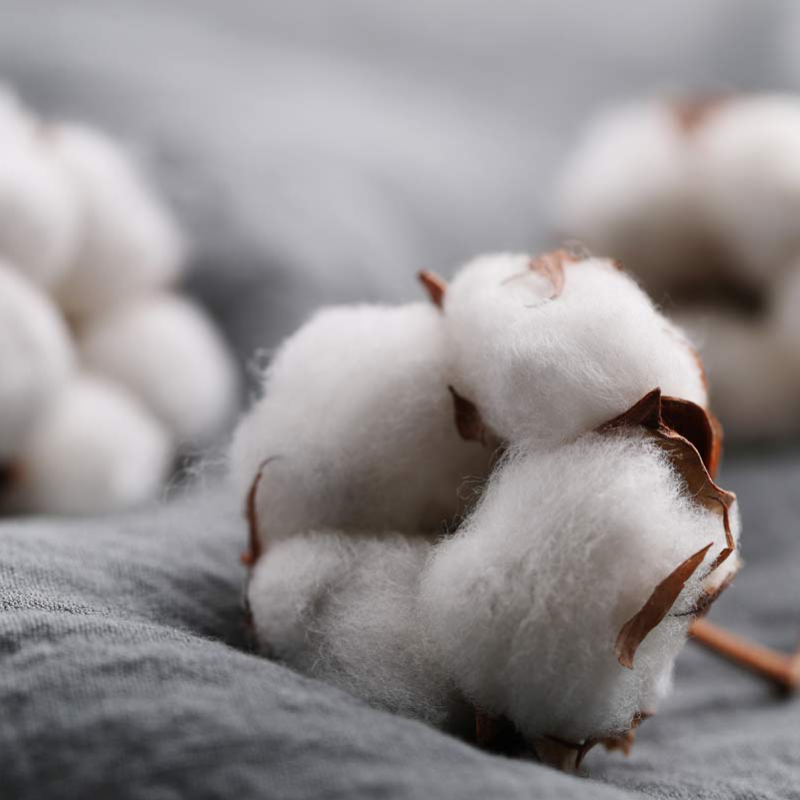 Organic Cotton Mattress